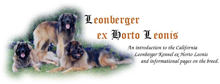 An introduction to the Leonberger Kennel ex Horto Leonis and Leonberger dogs